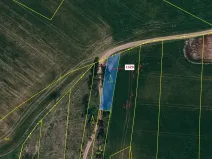 Dražba lesa, Vladislav, 381 m2