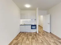 Pronájem bytu 1+kk, Ostrava - Moravská Ostrava, 30. dubna, 30 m2