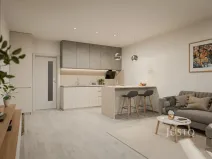 Prodej bytu 1+kk, České Budějovice, Jírovcova, 40 m2