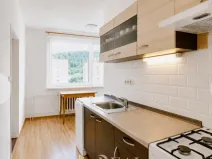 Prodej bytu 2+1, Krupka - Maršov, Karla Čapka, 62 m2