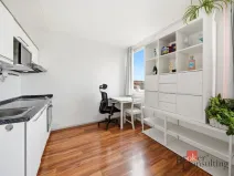 Prodej bytu 1+kk, Praha - Karlín, Molákova, 30 m2