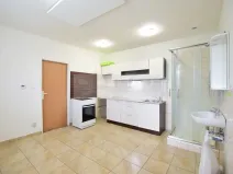 Pronájem bytu 1+1, Plzeň, K Papírně, 37 m2
