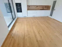 Pronájem bytu 1+kk, Olomouc, Ostrovní, 36 m2