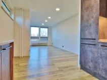 Pronájem bytu 2+kk, Ostrava - Mariánské Hory, Gen. Janka, 60 m2