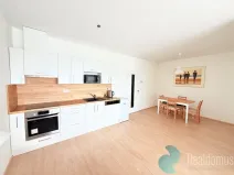 Pronájem bytu 2+kk, České Budějovice, U Lučního jezu, 57 m2