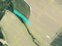 Prodej pole, Nová Hradečná, 8704 m2