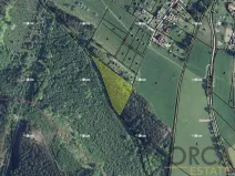Prodej podílu lesa, Ústí nad Orlicí, 2174 m2