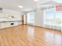 Pronájem bytu 1+kk, Brandýs nad Labem-Stará Boleslav, U Rokle, 38 m2