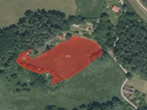 Prodej louky, Pačejov, 8897 m2