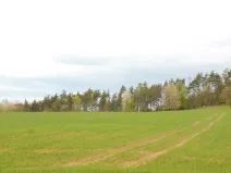 Dražba pozemku, Pyšely, 13755 m2