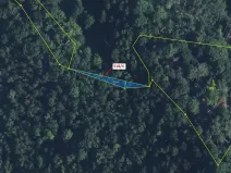 Dražba lesa, Malé Březno, 169 m2