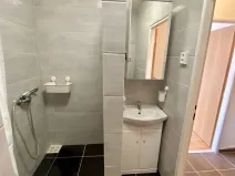 Pronájem bytu 1+kk, Most, K. H. Borovského, 26 m2
