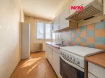 Prodej bytu 3+1, Plzeň - Jižní Předměstí, U Borského parku, 64 m2