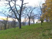 Prodej zahrady, Přílepy, 3492 m2