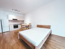 Pronájem bytu 1+kk, Praha - Žižkov, Malešická, 53 m2