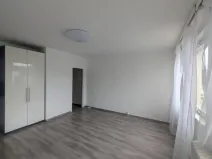 Pronájem bytu 1+kk, Ústí nad Labem - Krásné Březno, Dr. Horákové, 31 m2