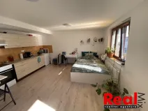Pronájem bytu 1+kk, Brno - Veveří, Smetanova, 30 m2
