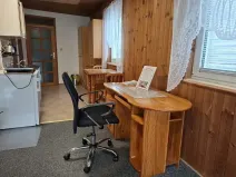 Pronájem bytu 1+kk, Brno, Viniční, 29 m2
