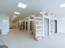 Prodej výrobních prostor, Ostrov, Krátká, 11439 m2