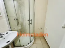 Pronájem bytu 1+1, Ostrava - Mariánské Hory, Zelená, 36 m2