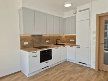 Prodej bytu 2+kk, Praha - Žižkov, Budovcova, 56 m2