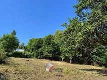 Prodej zahrady, Jablonec nad Nisou, Pražská, 1129 m2