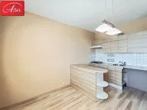 Pronájem bytu 1+1, Duchcov, Osecká, 35 m2
