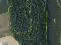 Prodej lesa, Bohy, 4715 m2