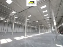 Pronájem výrobních prostor, Kožichovice, Žďárského, 5000 m2