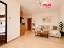 Pronájem bytu 1+kk, Ostrava - Moravská Ostrava, Petra Křičky, 28 m2