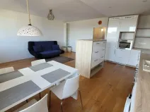 Pronájem bytu 3+kk, Praha - Žižkov, V zahrádkách, 47 m2