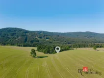 Prodej pozemku pro bydlení, Říčky v Orlických horách, 1400 m2