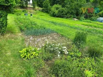 Prodej zahrady, Mohelnice, 47 m2