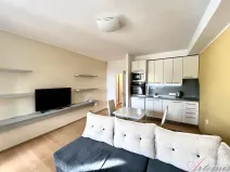 Pronájem bytu 1+kk, Frýdek-Místek - Frýdek, Hasičská, 29 m2