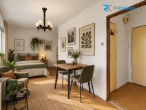 Pronájem bytu 1+kk, Frýdek-Místek, Janáčkova, 23 m2