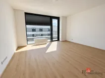 Pronájem bytu 2+kk, Plzeň - Jižní Předměstí, Železná, 52 m2