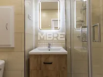 Pronájem bytu 1+1, Karviná - Mizerov, Borovského, 36 m2