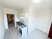 Pronájem bytu 1+1, Ostrava, Výškovická, 39 m2