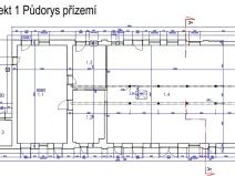 Prodej vícegeneračního domu, Běleč, Dukelská, 476 m2