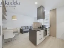 Pronájem bytu 2+kk, Brno, Ryšánkova, 56 m2