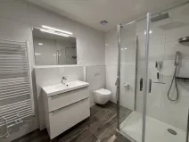 Pronájem bytu 3+kk, České Budějovice - České Budějovice 5, Dobrovodská, 73 m2