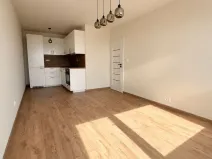 Prodej bytu 2+kk, Kladno - Kročehlavy, Na růžovém poli, 40 m2