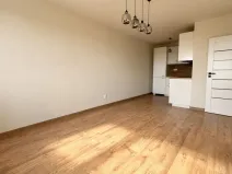 Prodej bytu 2+kk, Kladno - Kročehlavy, Na růžovém poli, 40 m2