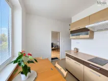 Pronájem bytu 2+1, Teplice, Josefa Suka, 49 m2