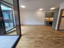 Pronájem bytu 1+kk, Praha, Hartigova, 53 m2
