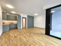 Pronájem bytu 1+kk, Praha, Hartigova, 53 m2