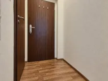 Pronájem bytu 1+kk, České Budějovice, U Boru, 26 m2