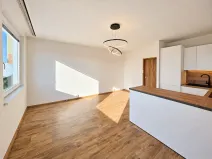 Prodej bytu 2+kk, Praha - Žižkov, Buková, 43 m2