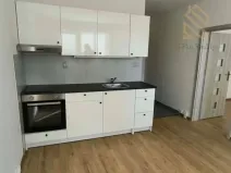 Pronájem bytu 1+1, Louny, Petra Obrovce, 35 m2