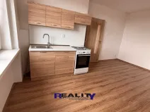 Pronájem bytu 1+1, Žatec, Dukelská, 44 m2